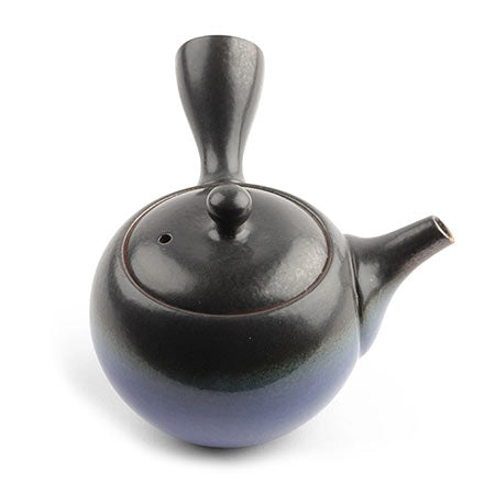 Tokoname Isshin Teapot, 10-Ounces