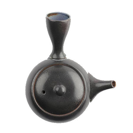 Tokoname Isshin Teapot, 10-Ounces