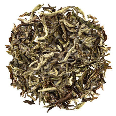 Nepal White Tea - Prakash