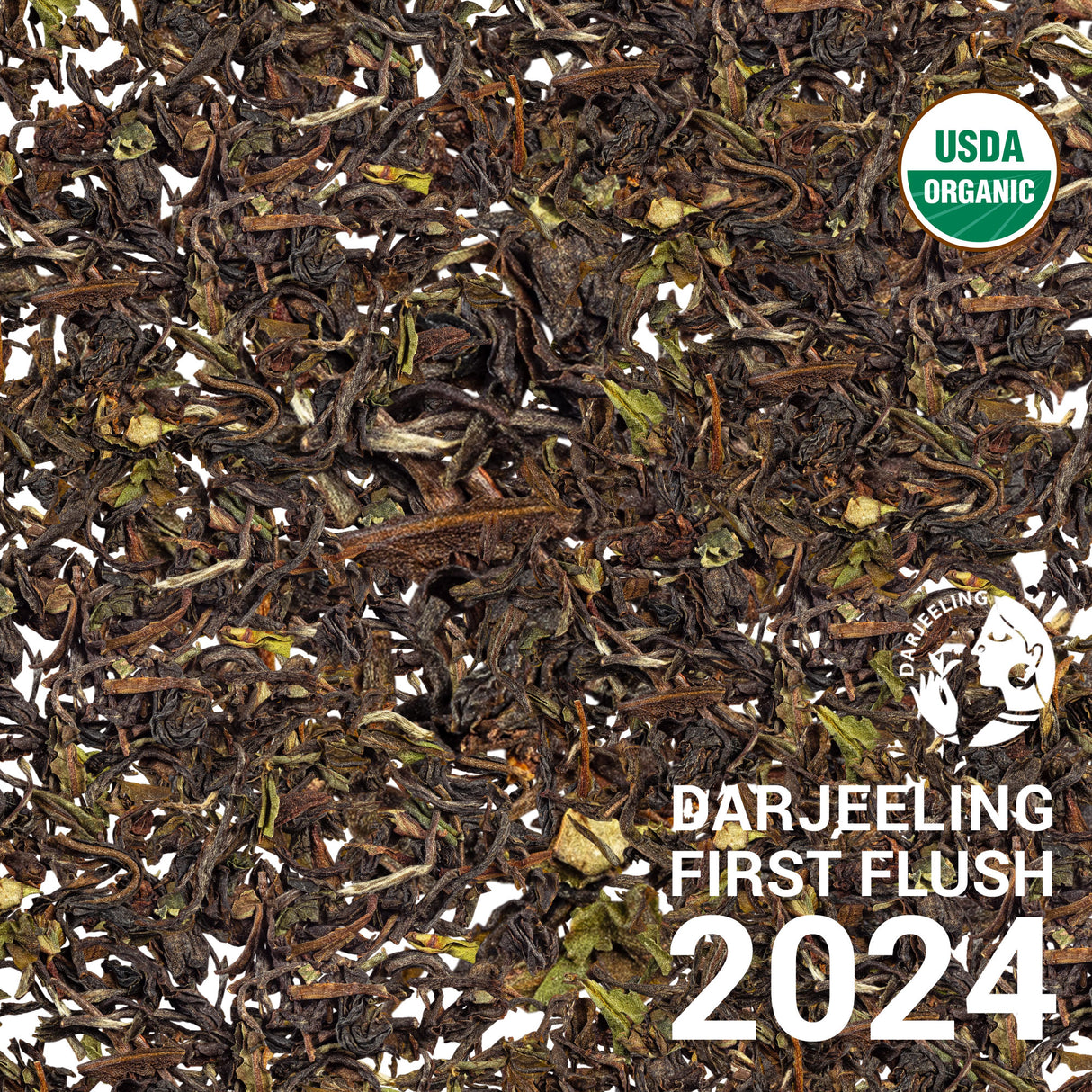 Phuguri FTGFOP1 Darjeeling First Flush 2024
