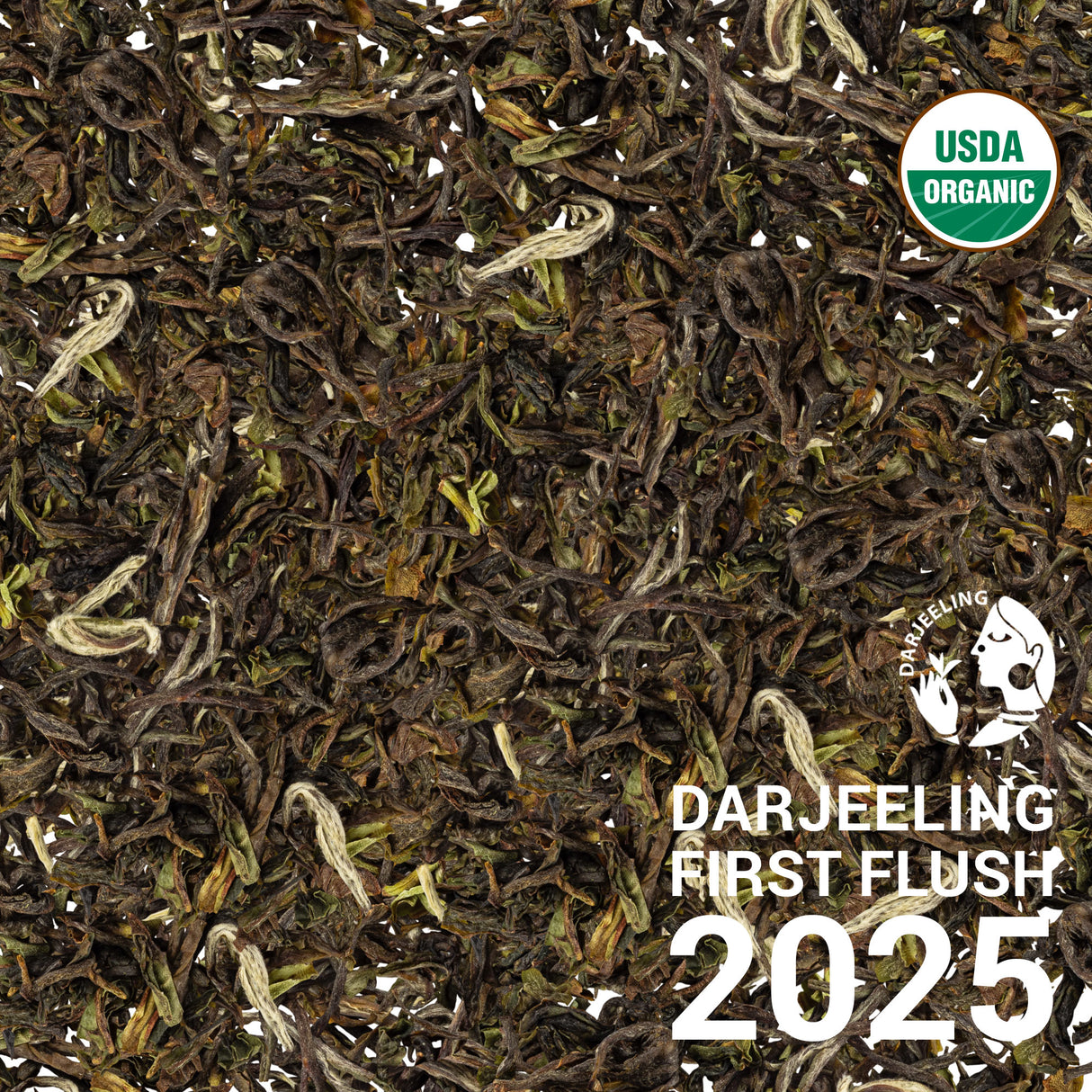 Darjeeling Soom First Flush 2024 & 2025