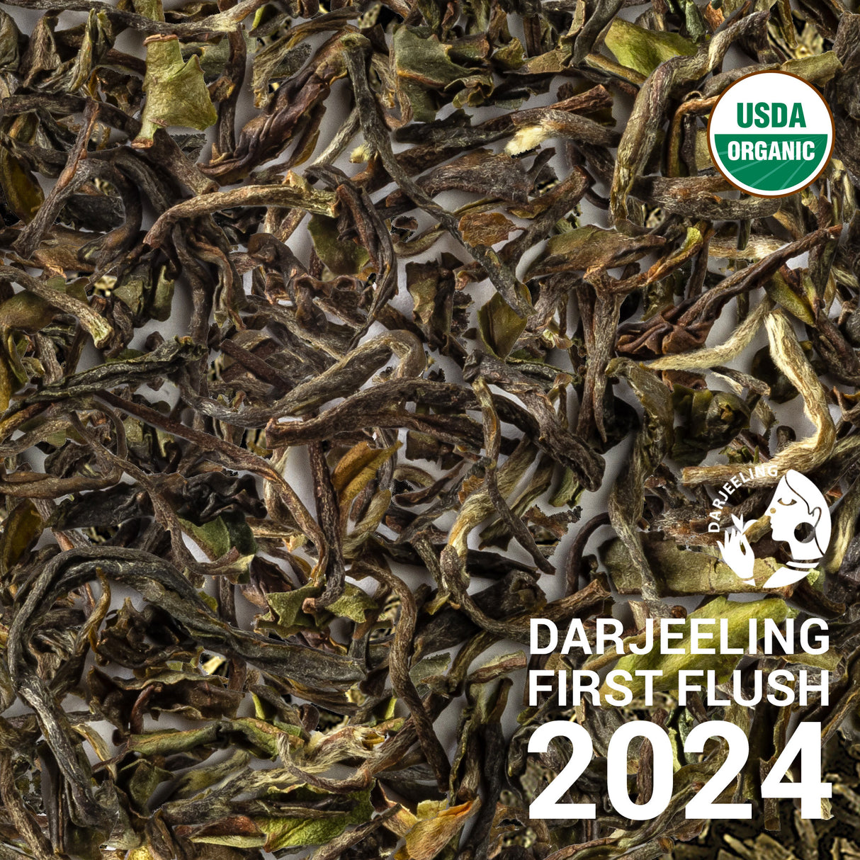 Darjeeling Soom First Flush 2024 & 2025