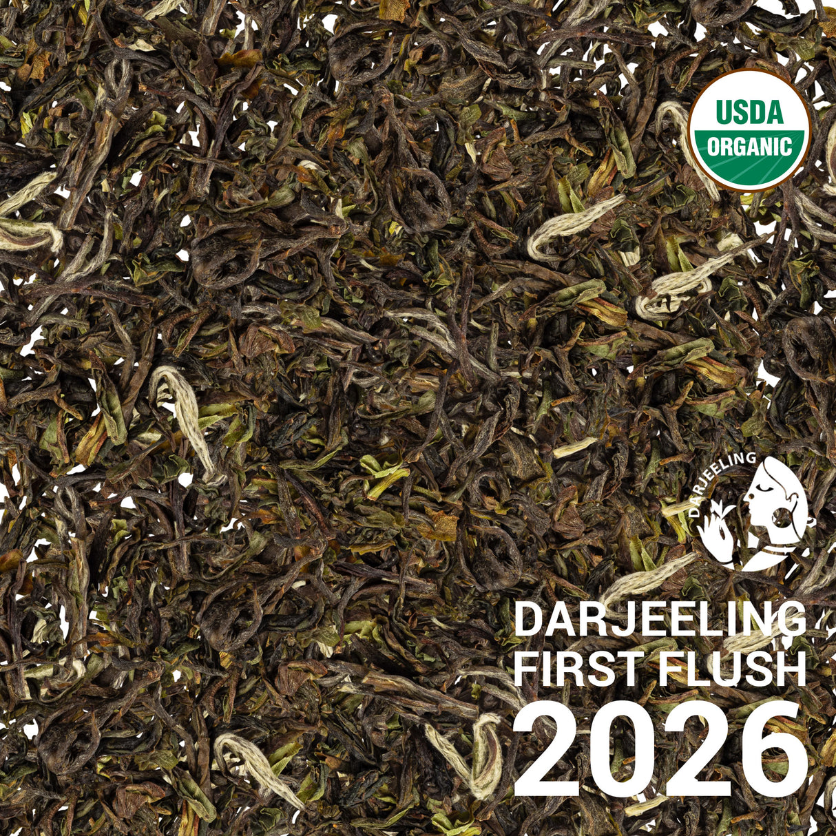 Darjeeling Soom First Flush 2026 & 2024