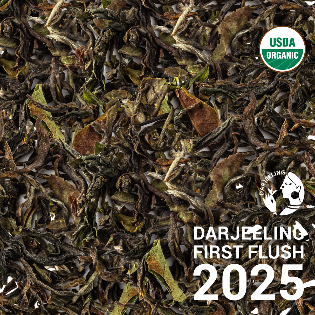 Darjeeling SFTGFOP1 Steinthal EX1/25 - First Flush 2025