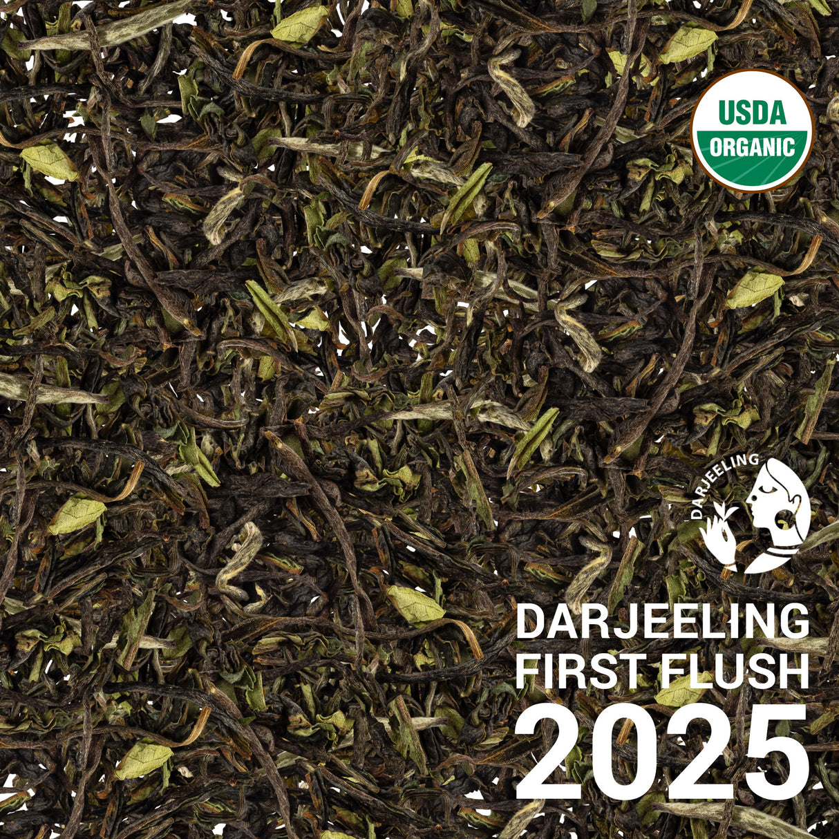 Darjeeling SFTGFOP1 Steinthal EX1/25 - First Flush 2025