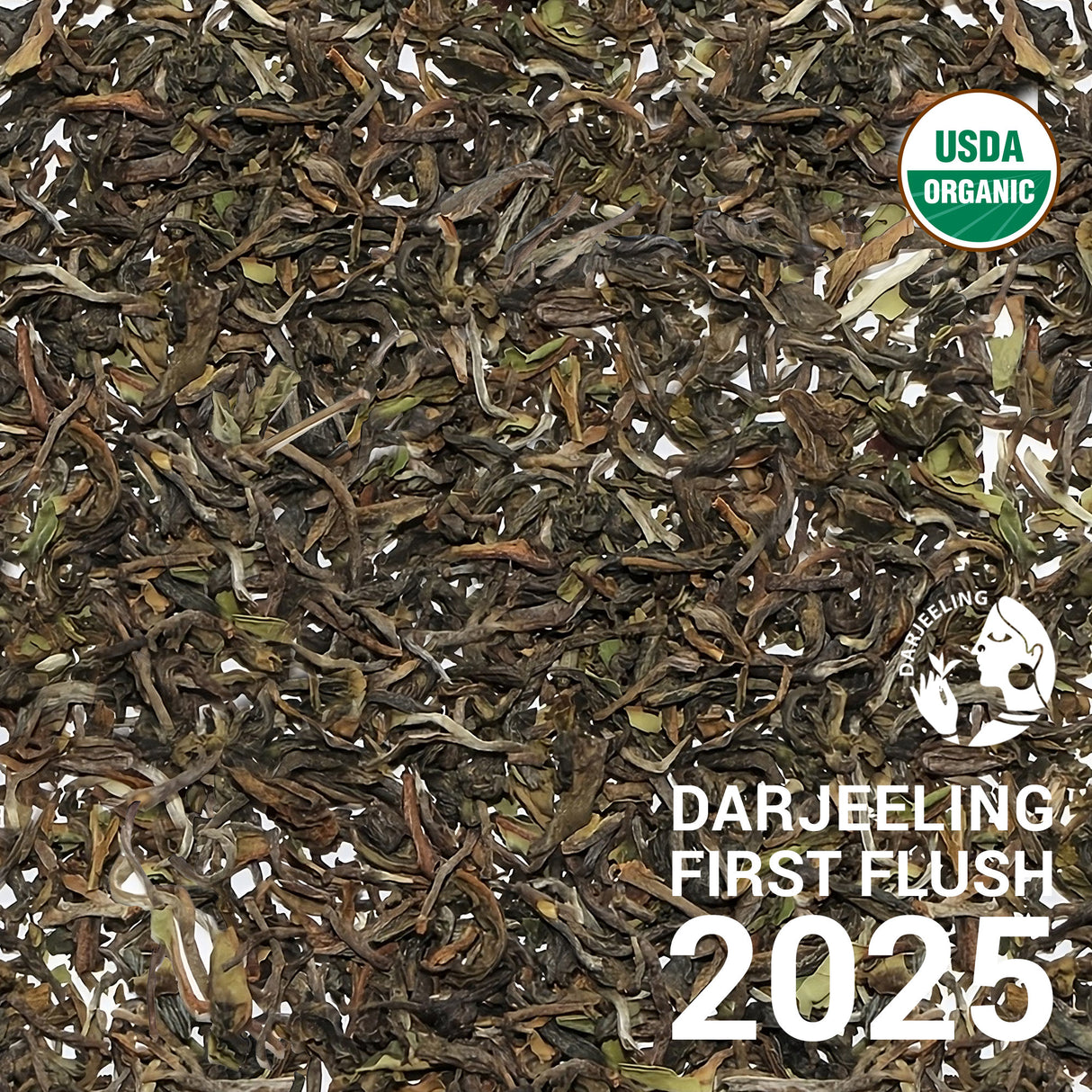 Darjeeling FTGFOP1 Badamtam EX1/25 - First Flush 2025