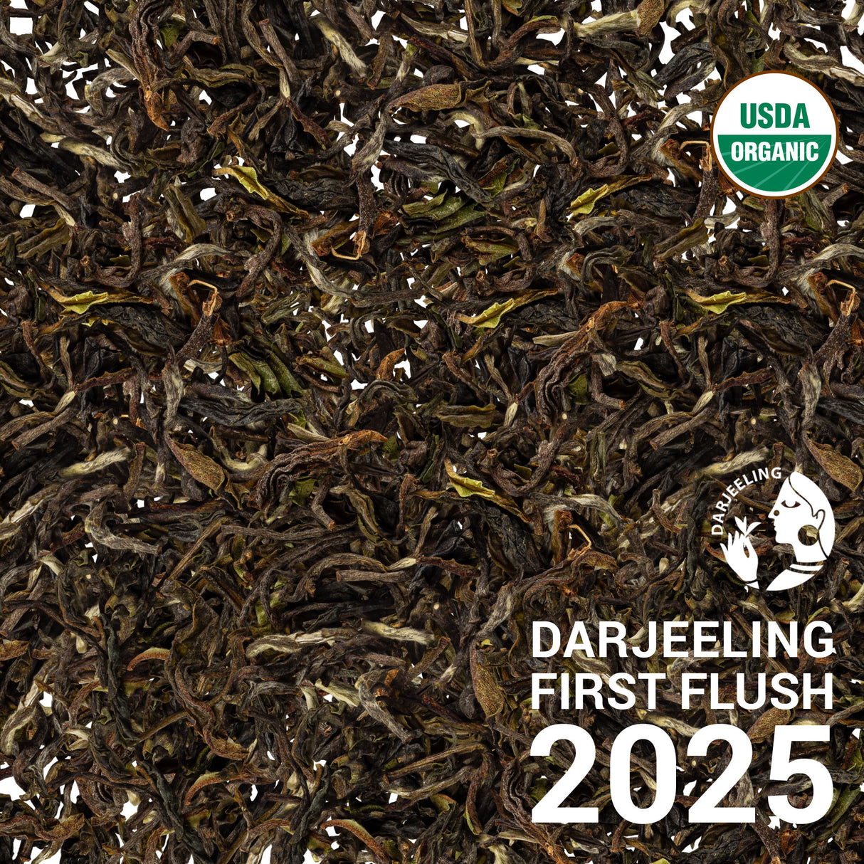 Darjeeling FTGFOP1 Badamtam EX1/25 - First Flush 2025