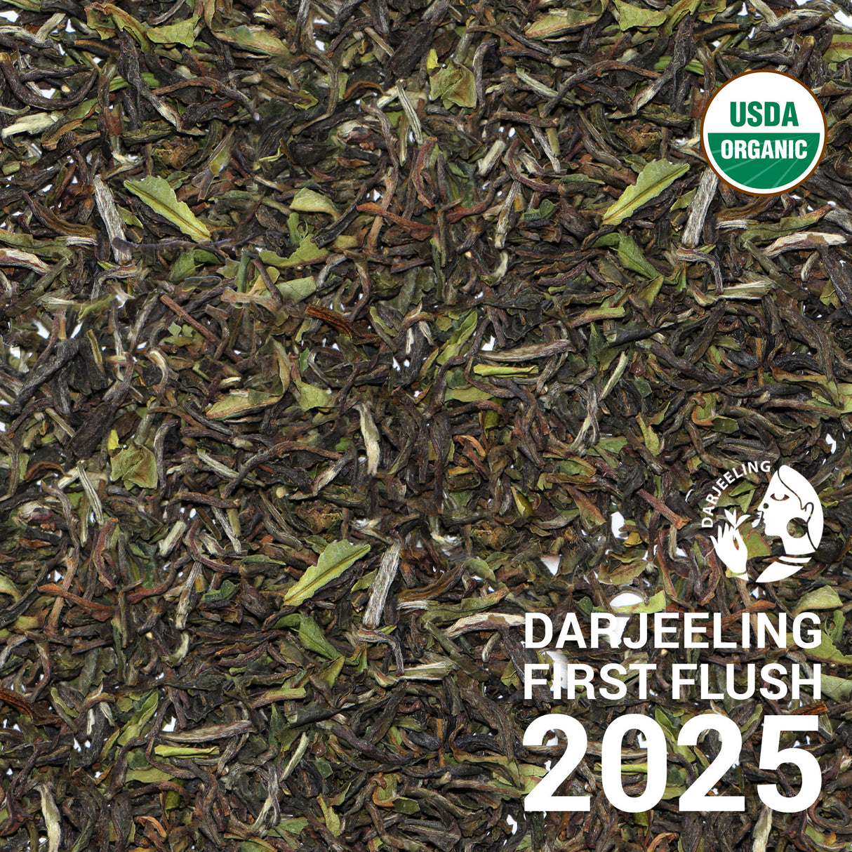 Darjeeling FTGFOP1 Seeyok DJ2/25 - First Flush 2025