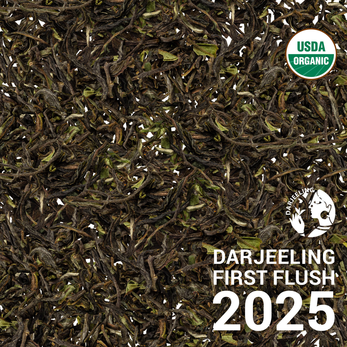 Darjeeling FTGFOP1 Seeyok DJ2/25 - First Flush 2025
