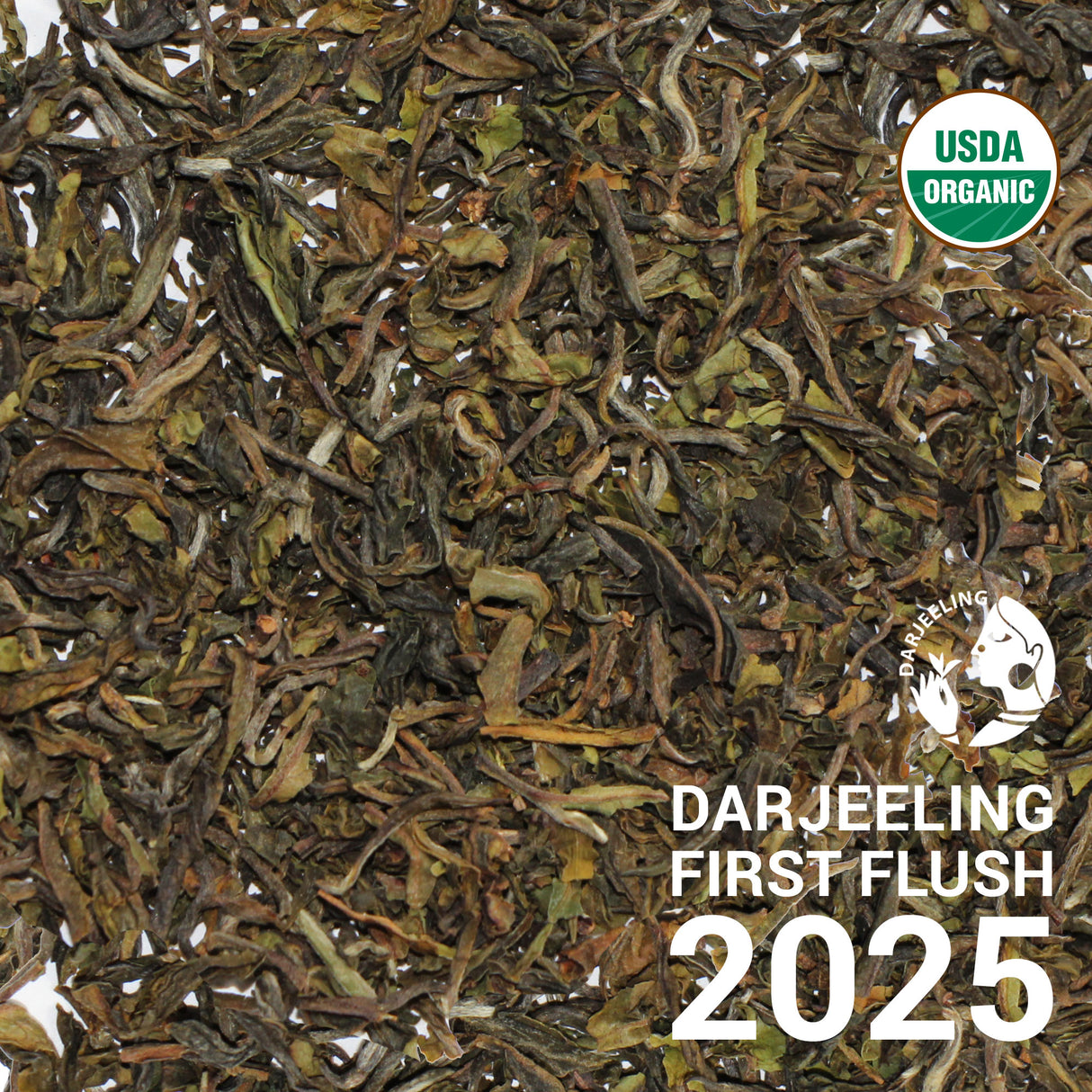 Darjeeling FTGFOP1 Phuguri DJ1/25 - First Flush 2025