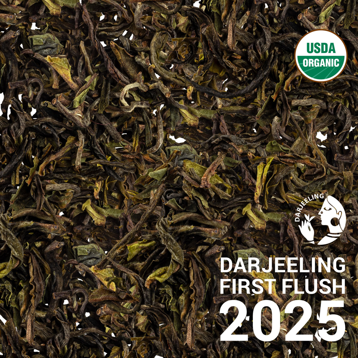 Darjeeling FTGFOP1 Phuguri DJ1/25 - First Flush 2025
