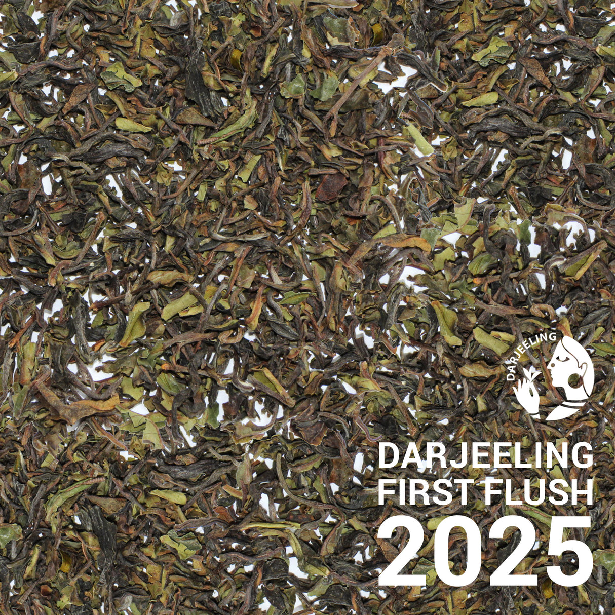 Darjeeling Poobong - First Flush 2025