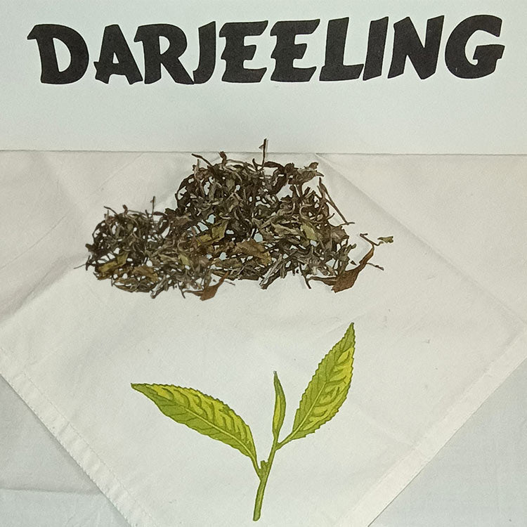Darjeeling Giddapahar AV2 - First Flush 2025