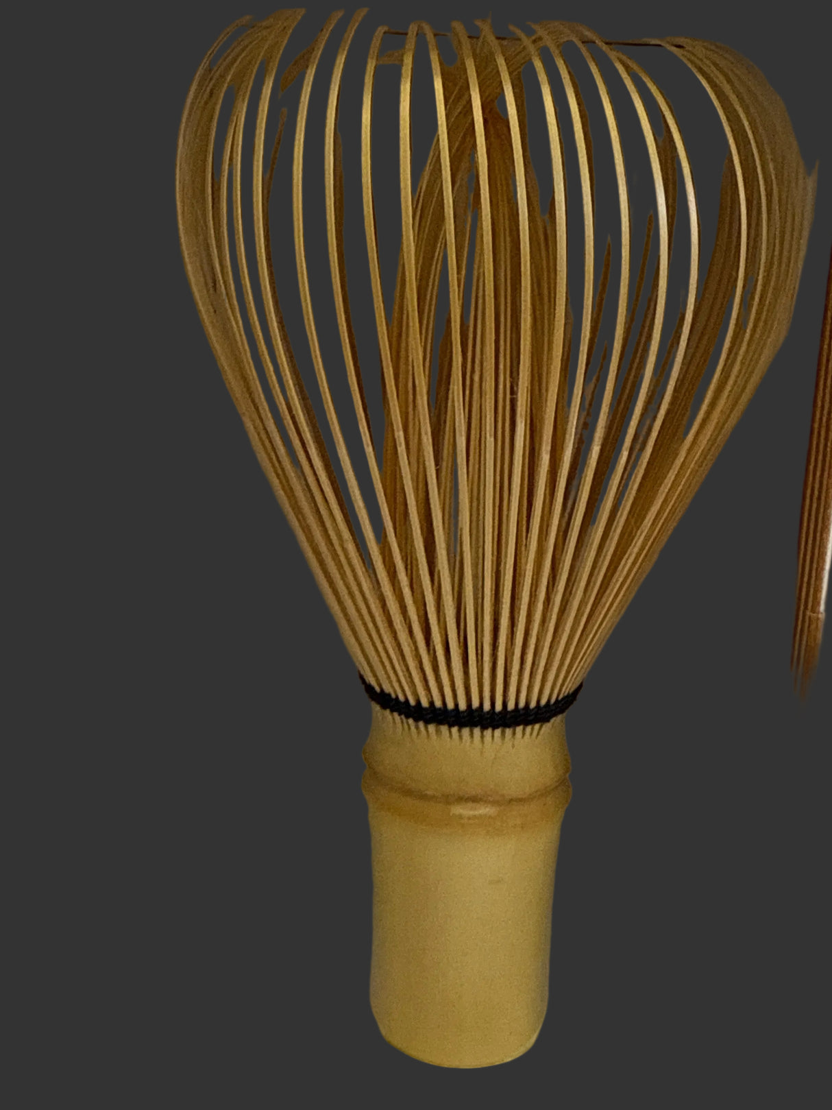 Shiratake Yamato Takayama Chasen - Urasenke School