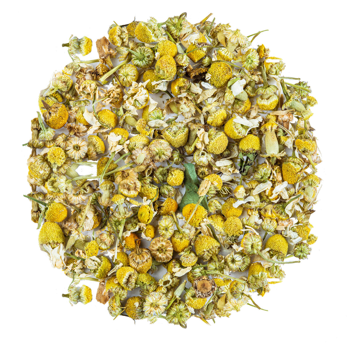 Chamomile