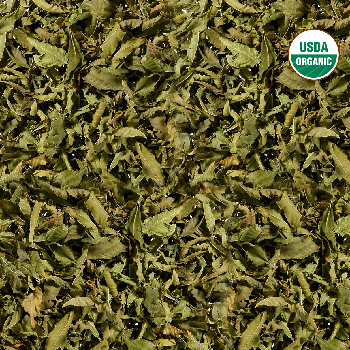 Lemon Verbena