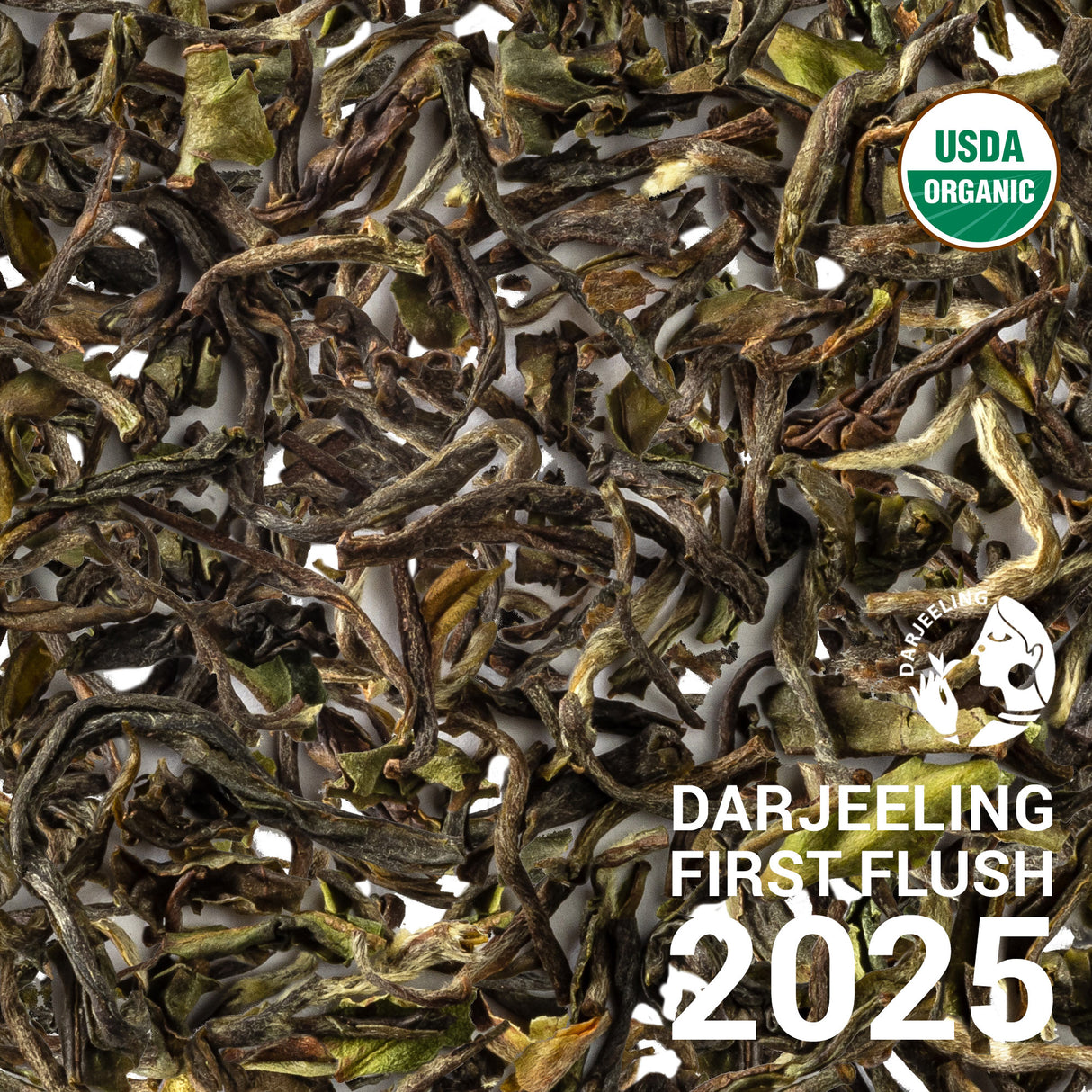 Darjeeling Soom First Flush 2024 & 2025