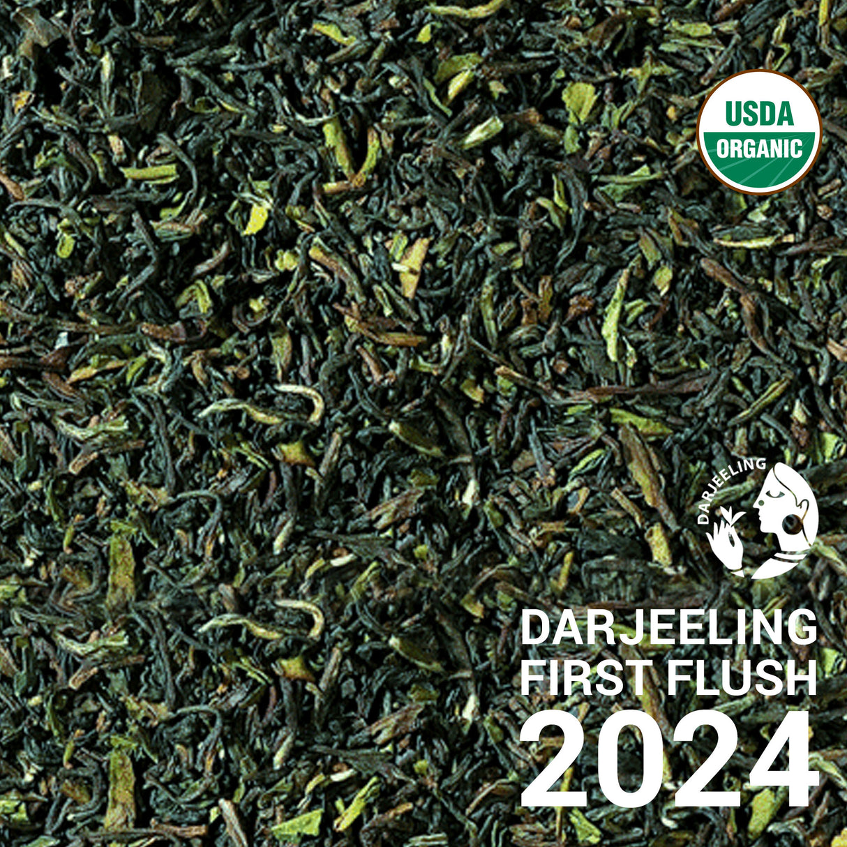 Darjeeling Soom First Flush 2024