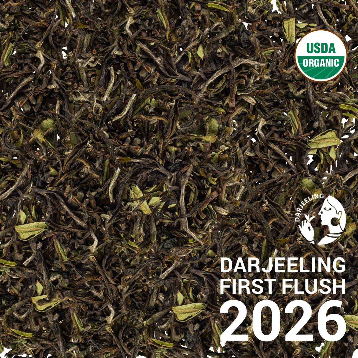 Darjeeling SFTGFOP1 Victoria’s Peak DJ1/25 - First Flush 2026