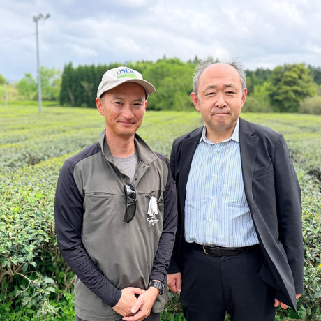 Sencha Yabukita