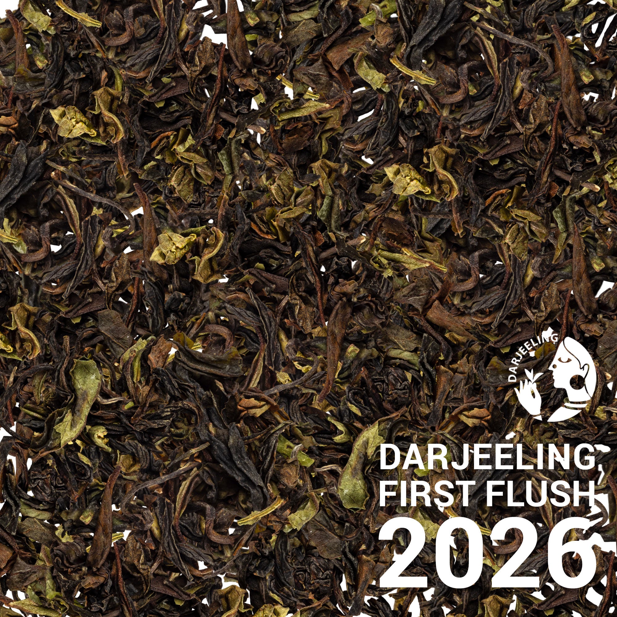 Darjeeling Margarets Hope First Flush 2026 | Black Tea | Chicago