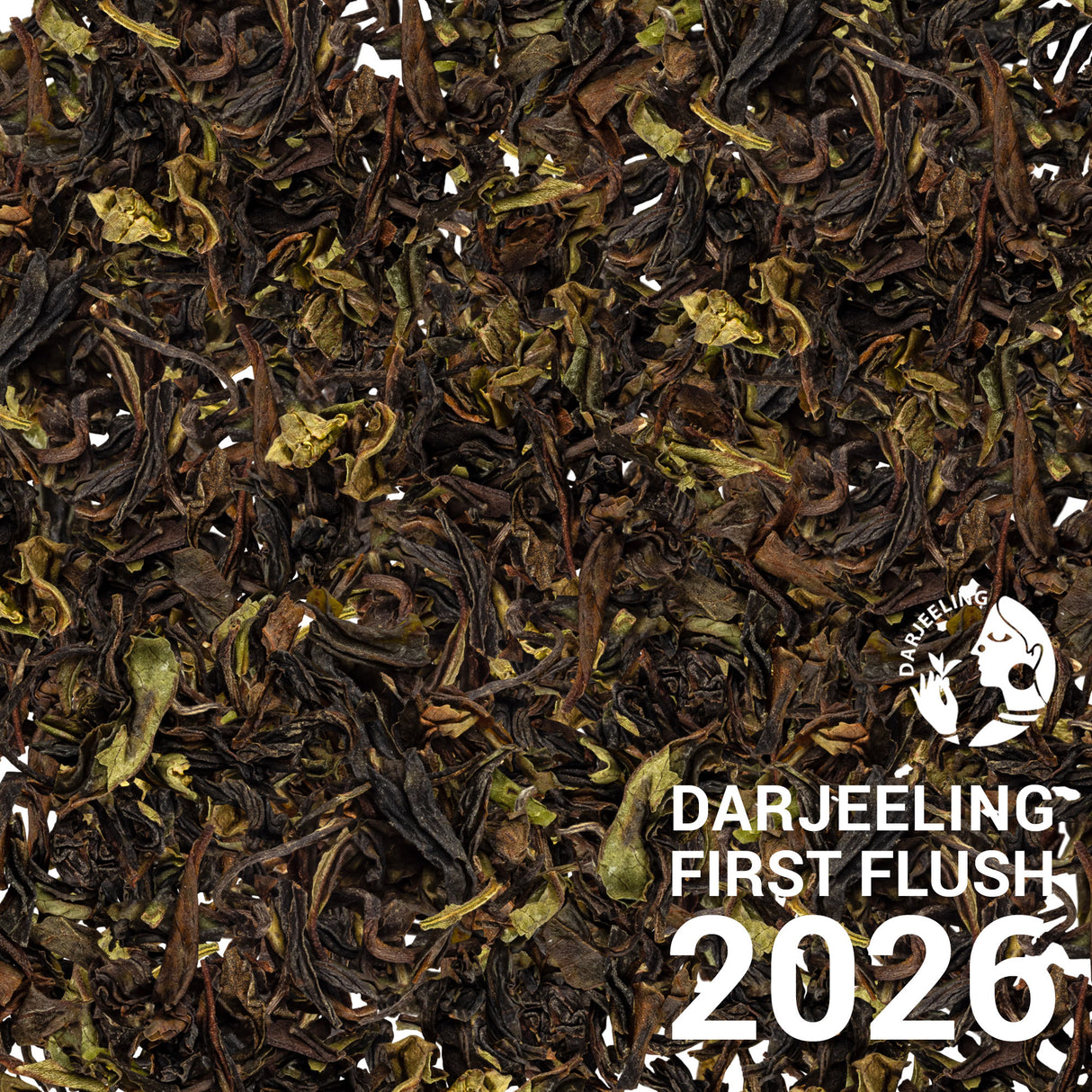 Darjeeling SFTGFOP Margaret's Hope1 HS - First Flush 2026