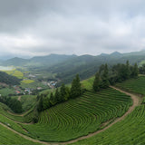 Beyond the Teahouse: A Traveler's Guide to Korean Tea Heritage