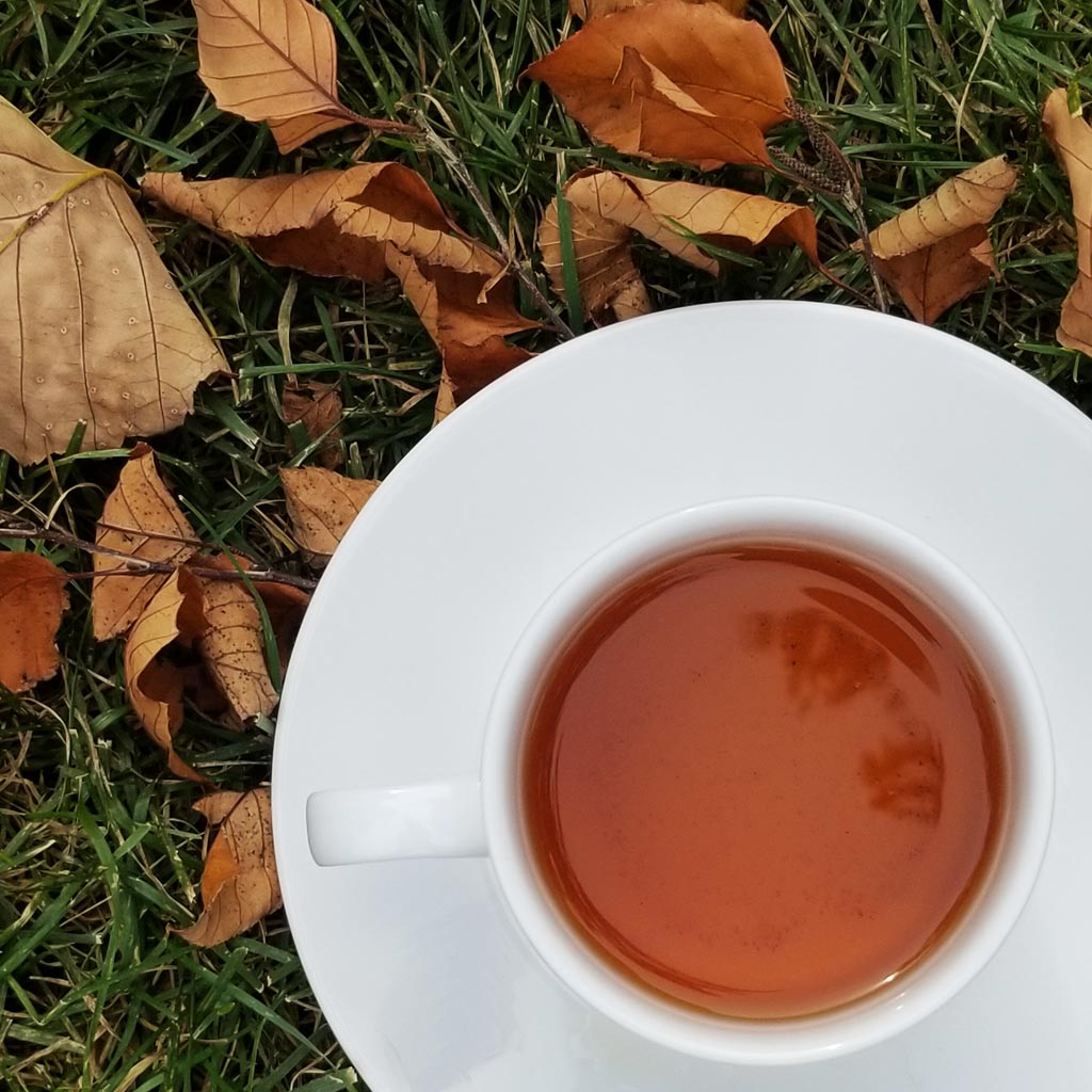 Double-Walled Glass Tea Cups – Jesse's Teahouse