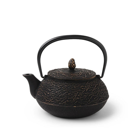 Cast Iron Teapot - 22 oz.