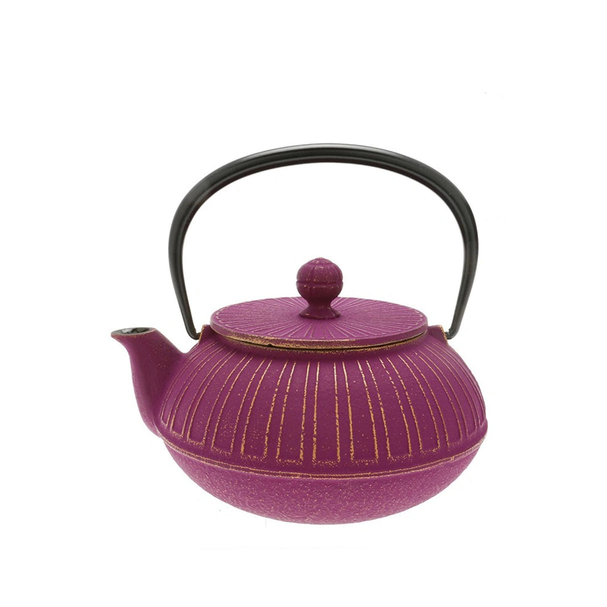 Cast Iron Teapot - 22 oz.