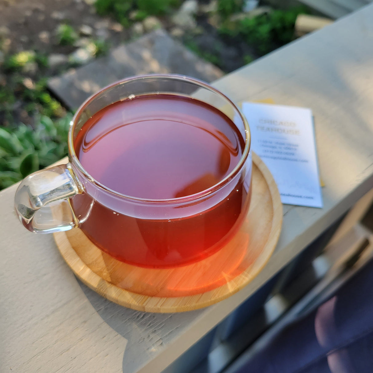 Viva Classic Tea Cup and Bamboo Saucer